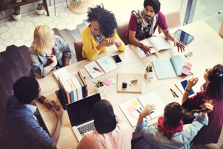 Multicultural Access and Equity